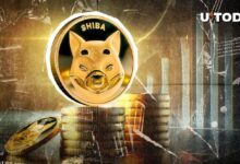 Posible Golden Cross de Shiba Inu (SHIB) en 10 Días: ¿Aprovecha Ahora o Espera hasta 2025? - Cripto Boom