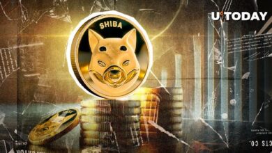 Posible Golden Cross de Shiba Inu (SHIB) en 10 Días: ¿Aprovecha Ahora o Espera hasta 2025? - Cripto Boom