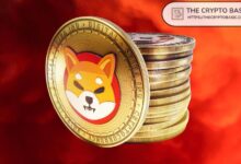 Líder de Shiba Inu Aborda Preocupaciones sobre Carteras SHIB de Mil Millones: ¡Descubre los Detalles! - Cripto Boom