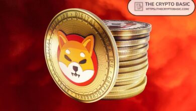 Líder de Shiba Inu Aborda Preocupaciones sobre Carteras SHIB de Mil Millones: ¡Descubre los Detalles! - Cripto Boom