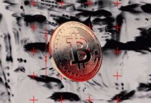 Renovada Especulación sobre la Verdadera Identidad de Satoshi Nakamoto Desata el Debate: ¡Descubre la Verdad! - Cripto Boom