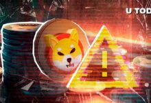 Advertencia Crucial para la Comunidad Shiba Inu: ¡Descubre por qué SHIB está en el Centro de Atención! - Cripto Boom