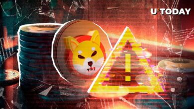 Advertencia Crucial para la Comunidad Shiba Inu: ¡Descubre por qué SHIB está en el Centro de Atención! - Cripto Boom