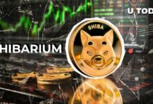 ¡3.78 Billones de SHIB en 24 Horas!: El Precio de Shiba Inu Se Dispara un 7% - Cripto Boom