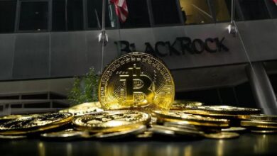 BlackRock Supuestamente Negocia con Tres Grandes Intercambios de Criptomonedas: Descubre Quiénes Son - Cripto Boom