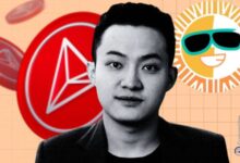 La cultura meme de TRON se queda atrás pese a las ambiciones de superar a Pump.fun - Descubre por qué - Cripto Boom