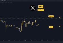 Predicción del Precio de Ripple (XRP) para Esta Semana: ¡Descubre los Detalles! - Cripto Boom