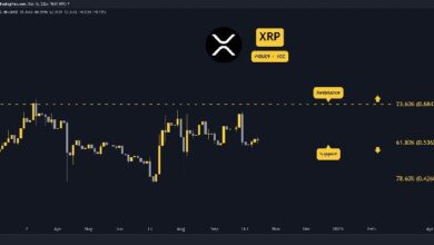 Predicción del Precio de Ripple (XRP) para Esta Semana: ¡Descubre los Detalles! - Cripto Boom