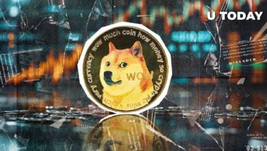 ¡Transferencia de 176 Millones de Dogecoin (DOGE) Impacta al Mayor Exchange del Mundo! - Cripto Boom
