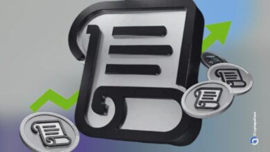 Scroll se une a la carrera de L2s hacia el fondo en 2024: ¡Descubre quién ganará! - Cripto Boom