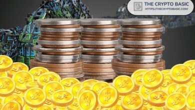 La Métrica Secreta de BitBoy Revela 7 Altcoins Que No Te Puedes Perder Ahora Mismo - Cripto Boom