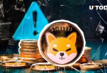 Importante Mensaje Sobre el Poder de las Criptomonedas Emitido por Ejecutivo de SHIB: ¡Descubre Su Impacto! - Cripto Boom