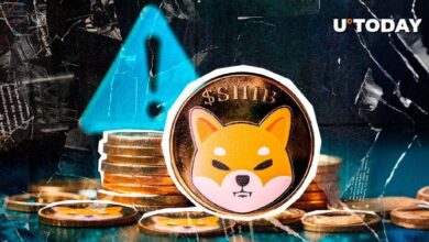 Importante Mensaje Sobre el Poder de las Criptomonedas Emitido por Ejecutivo de SHIB: ¡Descubre Su Impacto! - Cripto Boom