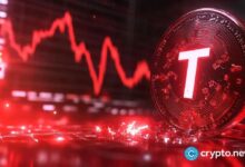 Blockchain de TON experimenta una caída significativa en usuarios activos diarios - Descubre el impacto ahora - Cripto Boom