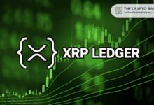 Récord Histórico: XRP Ledger Alcanza Nuevo Máximo Diario en Emisión de Tokens. ¡Descubre Más! - Cripto Boom