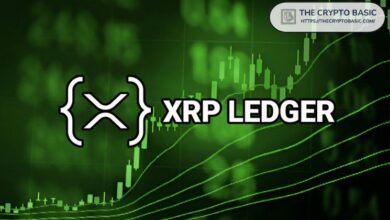 Récord Histórico: XRP Ledger Alcanza Nuevo Máximo Diario en Emisión de Tokens. ¡Descubre Más! - Cripto Boom