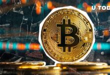 Nunca Comprará Bitcoin por Menos de $40K si la Historia Sirve de Guía: ¡Descubra Por Qué! - Cripto Boom