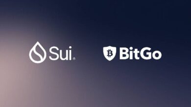 BitGo Implementa Custodia para Sui Naming Service y DeepBook, ¡Descubre Por Qué el Token SUI se Desploma! - Cripto Boom