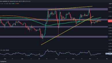 Análisis del Precio de Ripple: Descubre Cómo XRP Puede Evitar Caer a $0.5 - Cripto Boom