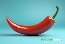 Chiliz Chain y Crossmint Unen Fuerzas para Soluciones Blockchain en Deportes: ¡Descubre Más! - Cripto Boom