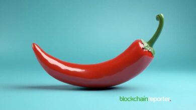 Chiliz Chain y Crossmint Unen Fuerzas para Soluciones Blockchain en Deportes: ¡Descubre Más! - Cripto Boom