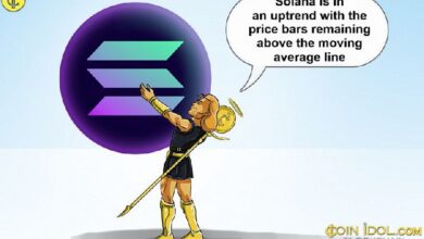 ¡Solana Avanza con Fuerza, pero Se Detiene en la Barrera de $175! - Cripto Boom