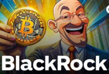 Fink de BlackRock: Bitcoin es una Clase de Activo, como el Oro - Descubre Más - Cripto Boom