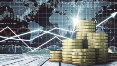 Las Criptomonedas con Peor Desempeño en 2024 Hasta Ahora: Descubre la Realidad de los Meme Coins - Cripto Boom