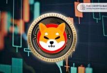 Analista Predice que Shiba Inu Subirá a $0.00003260 Antes de lo Esperado: ¡Descubre Más! - Cripto Boom