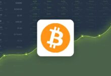 ¡Descubre por qué Bitcoin se cotiza un 13.89% por debajo de nuestra predicción para el 29 de octubre de 2024! - Cripto Boom