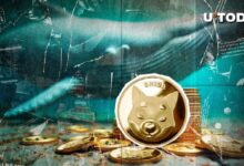 Descubre la Misteriosa Actividad de Ballenas de $2 Millones en Shiba Inu (SHIB) en una Importante Bolsa de EE.UU. - Cripto Boom