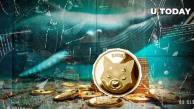 Descubre la Misteriosa Actividad de Ballenas de $2 Millones en Shiba Inu (SHIB) en una Importante Bolsa de EE.UU. - Cripto Boom