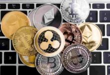 Predicción del mercado cripto para noviembre 2024: ¡Descubre lo que se avecina! - Cripto Boom