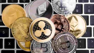 Predicción del mercado cripto para noviembre 2024: ¡Descubre lo que se avecina! - Cripto Boom