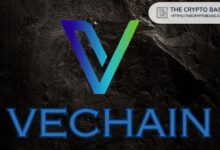 VeChain Impulsa su Ecosistema tras Asegurar Nueva Patente en EE.UU. ¡Descubre Más! - Cripto Boom