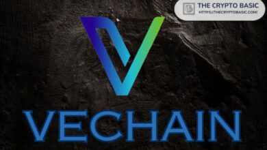 VeChain Impulsa su Ecosistema tras Asegurar Nueva Patente en EE.UU. ¡Descubre Más! - Cripto Boom