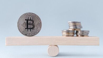 Profesor Coin: ¿Cómo Valorar Criptomonedas como Bitcoin y Ethereum? Descubre el Secreto Aquí - Cripto Boom