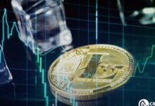 Mini Rally de Litecoin: Descubre los Factores Clave que lo Impulsan - Cripto Boom