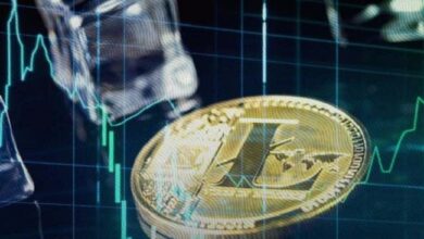Mini Rally de Litecoin: Descubre los Factores Clave que lo Impulsan - Cripto Boom