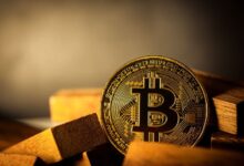 Bitcoin Domina el Mercado Cripto con un 57.6% de Participación: ¡Descubre el Volumen Total de $66.75B! - Cripto Boom