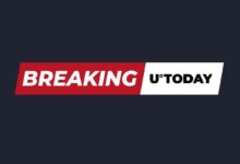 El Precio de Bitcoin Se Desploma Tras Investigación del Gobierno de EE. UU. a Tether: Descubre Más - Cripto Boom