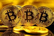 El 53% de los Traders de Binance Están Vendiendo Bitcoin en Corto: ¿Qué Implicaciones Tiene para la Acción del Precio? - Cripto Boom