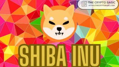 Descubre Cuánto Puedes Ganar con Shiba Inu en Distintos Países si SHIB Alcanza $0.0008 - Cripto Boom