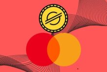 Stellar se asocia con Mastercard: Integra el sistema Crypto Credential en su red | Descubre más ahora - Cripto Boom