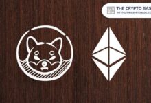 Shiba Inu podría alcanzar $0.000053865 si iguala la capitalización de Ethereum: ¡Descubre cómo! - Cripto Boom