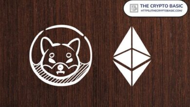 Shiba Inu podría alcanzar $0.000053865 si iguala la capitalización de Ethereum: ¡Descubre cómo! - Cripto Boom