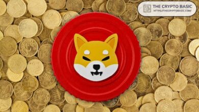 Shiba Inu Revela Nuevo Socio Financiero para Impulsar a SHIB al Siguiente Nivel - Descubre Más - Cripto Boom