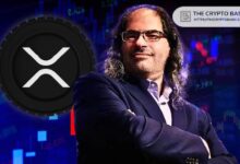 Gasta $1M en XRP: CTO de Ripple Afirma que Aunque XRP es Accesible, la Adopción de Pagos Cripto Sigue Limitada. ¡Descubre Más! - Cripto Boom