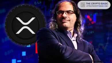 Gasta $1M en XRP: CTO de Ripple Afirma que Aunque XRP es Accesible, la Adopción de Pagos Cripto Sigue Limitada. ¡Descubre Más! - Cripto Boom