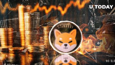La Tasa de Quema de SHIB Aumenta un 1,436% Mientras el Precio Gana Impulso: Descubre Más - Cripto Boom